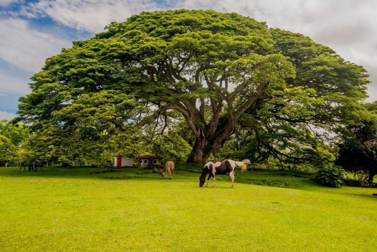 Hacienda El Saman Villa Quimbaya Luaran gambar
